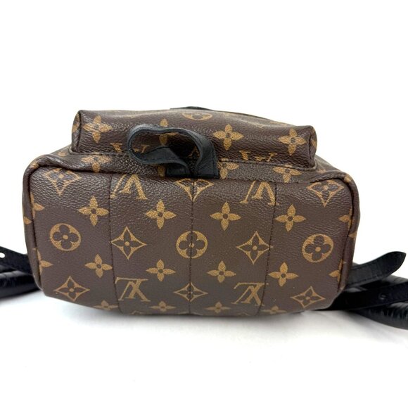 Louis Vuitton Backpack Palm Springs PM Monogram Canvas Backpack main image 8